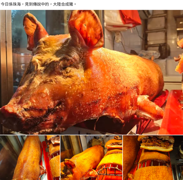 港男報大陸驚見假燒肉被圍嘲無知！廚房佬解畫：唔好繼續做井底蛙啦