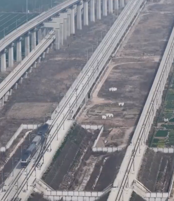 照片來源：微博@新浪河南 