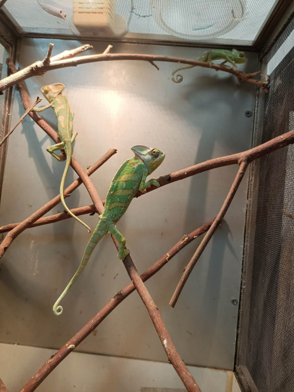 台北親子遊20大必去景點推薦！兒童職業體驗樂園/DIY台灣糕餅 附幼稚園/小學生行程提案 