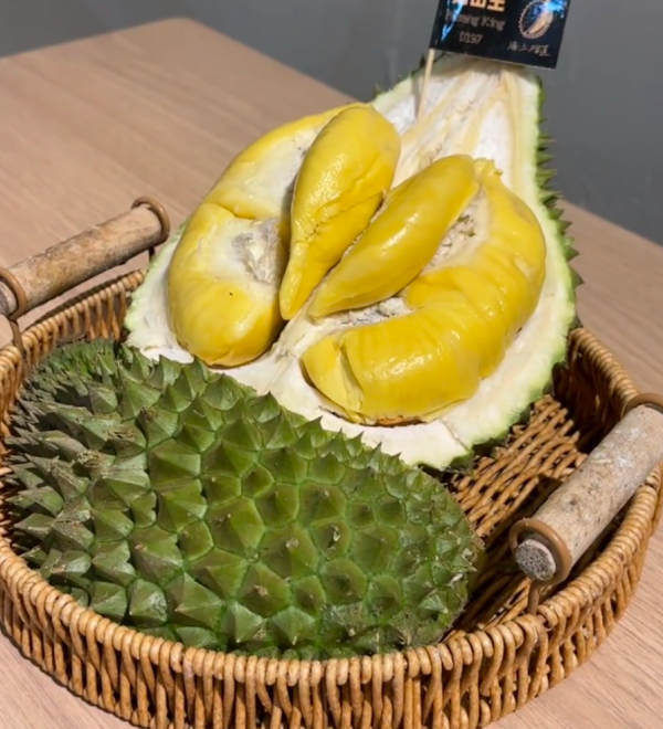 照片來源：小紅書@是路拉呀 示意圖