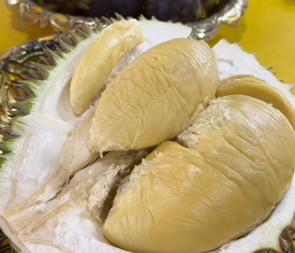 照片來源：小紅書@是路拉呀 示意圖