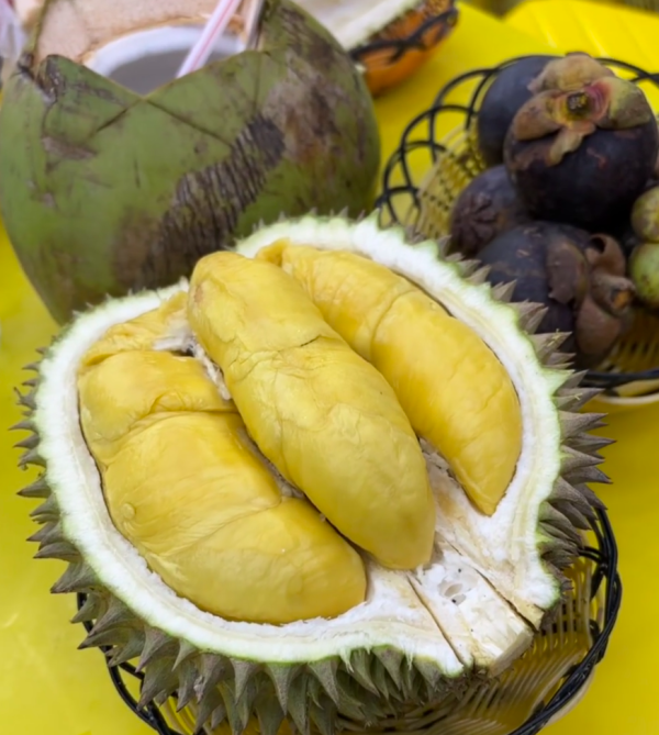 照片來源：小紅書@是路拉呀 示意圖