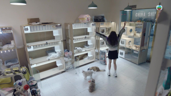 正義女神|「虐猫少女」陳若思魔性傻笑勁駭人!微表情眼神演活超像真癲瘋狀態