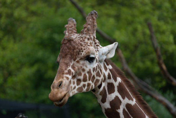 圖片來源：freepik