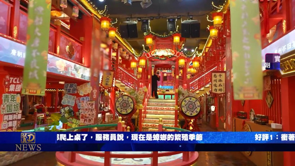 試真D｜吳業坤喪食腸粉嘆似打茄輪！周嘉洛踎街邊塞紙巾頂渠味惡臭