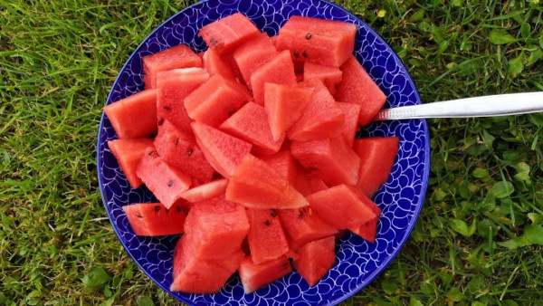 10大最強消暑食物（圖片來源︰Canva）