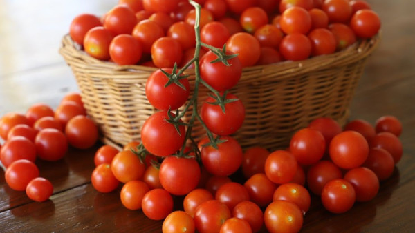 10大最強消暑食物（圖片來源︰Canva）