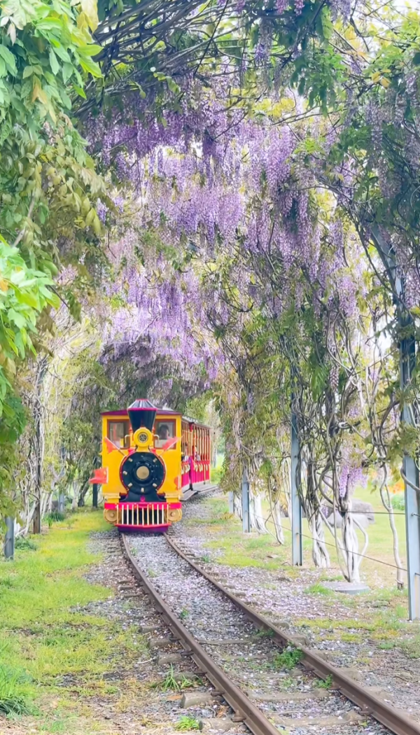 照片來源:小紅書@emma_fancy 照片來源:小紅書@emma_fancy