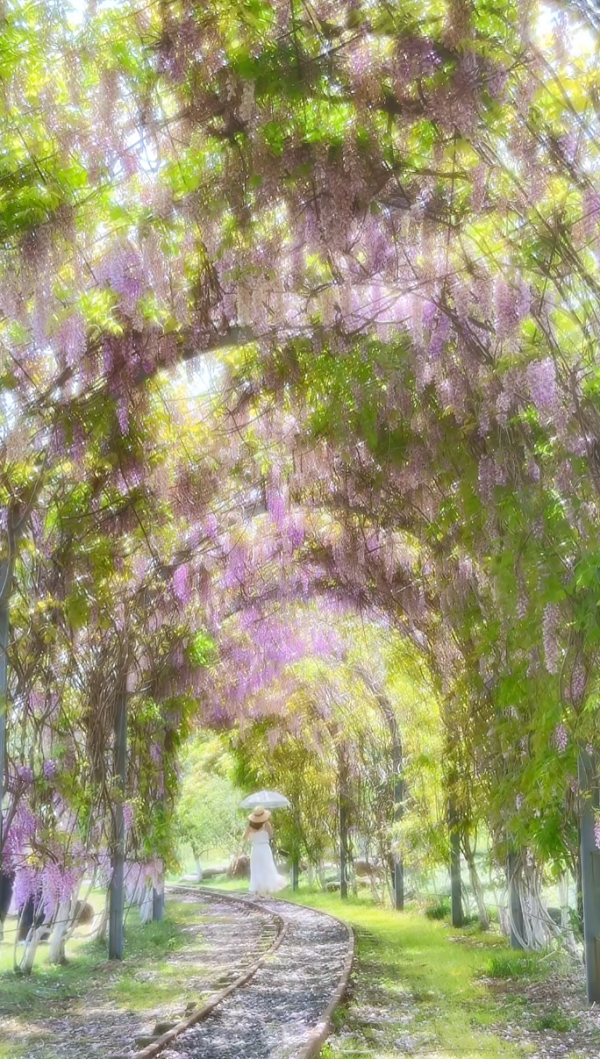 照片來源:小紅書@emma_fancy 照片來源:小紅書@emma_fancy