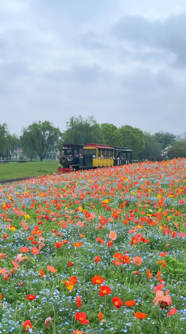 照片來源:小紅書@emma_fancy 照片來源:小紅書@emma_fancy