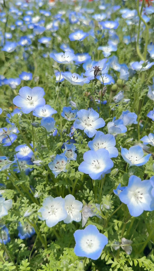 照片來源:小紅書@emma_fancy 照片來源:小紅書@emma_fancy