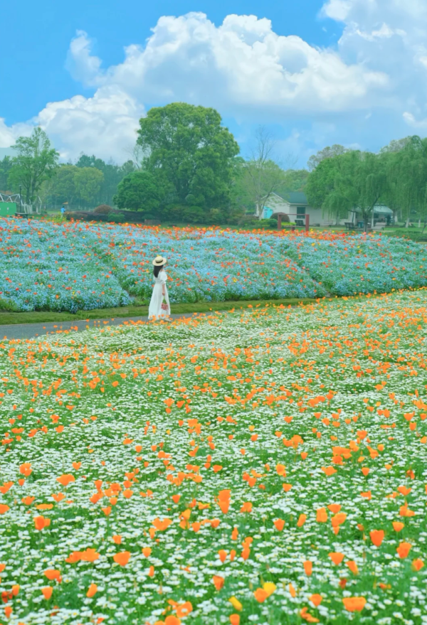 照片來源:小紅書@春天在哪里 照片來源:小紅書@春天在哪里