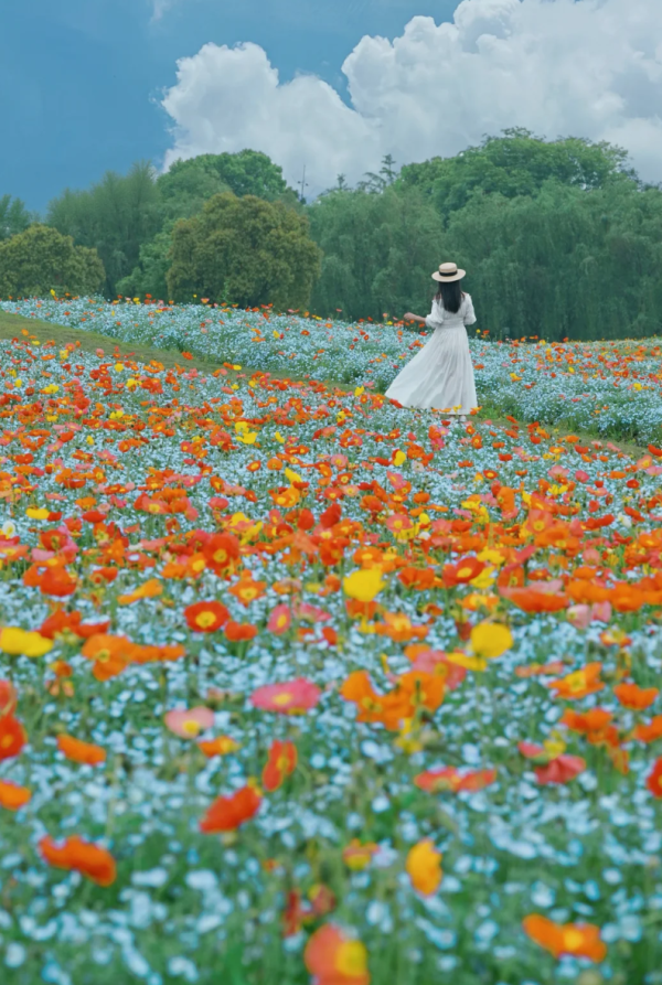照片來源:小紅書@春天在哪里 照片來源:小紅書@春天在哪里