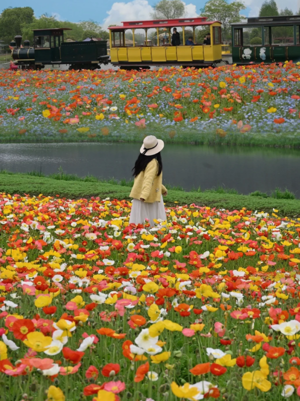 照片來源:小紅書@春天在哪里 照片來源:小紅書@春天在哪里