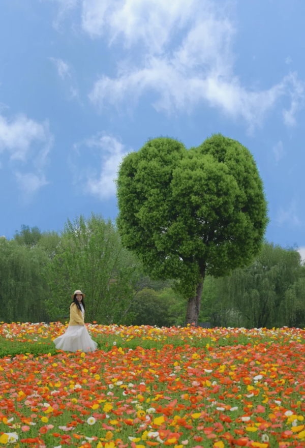 照片來源:小紅書@春天在哪里 照片來源:小紅書@春天在哪里