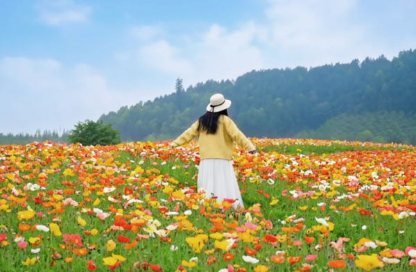 照片來源:小紅書@春天在哪里 照片來源:小紅書@春天在哪里