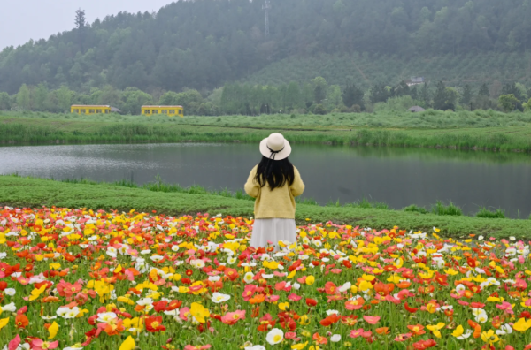 照片來源:小紅書@春天在哪里 照片來源:小紅書@春天在哪里