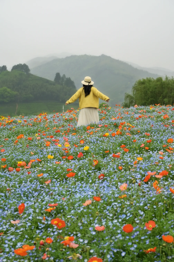 照片來源:小紅書@春天在哪里 照片來源:小紅書@春天在哪里