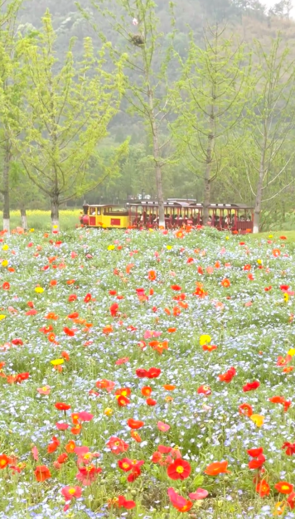 照片來源:小紅書@emma_fancy 照片來源:小紅書@emma_fancy