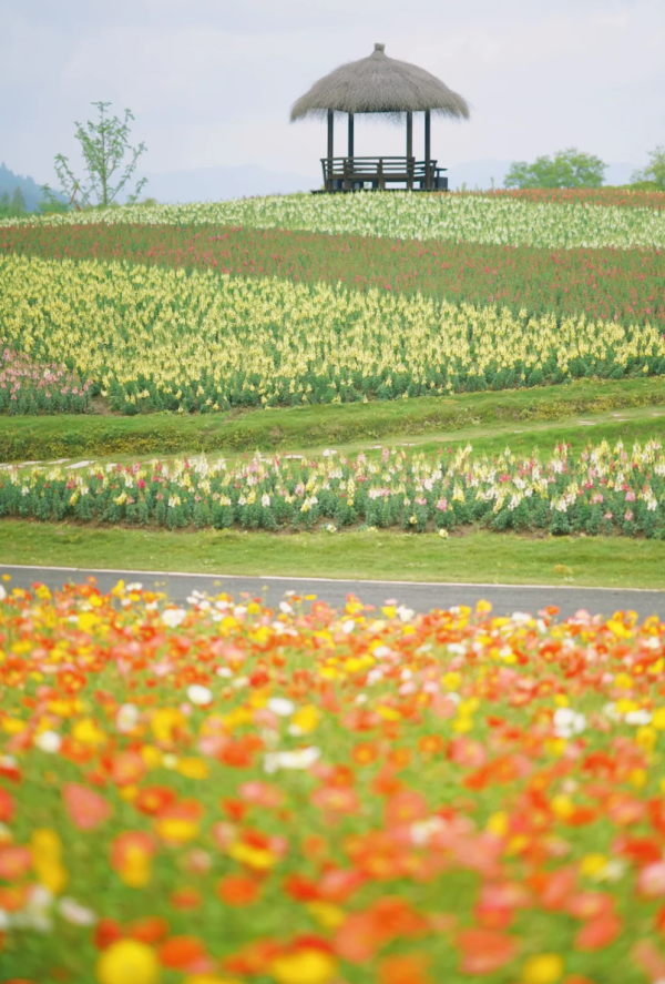 照片來源:小紅書@emma_fancy 照片來源:小紅書@emma_fancy