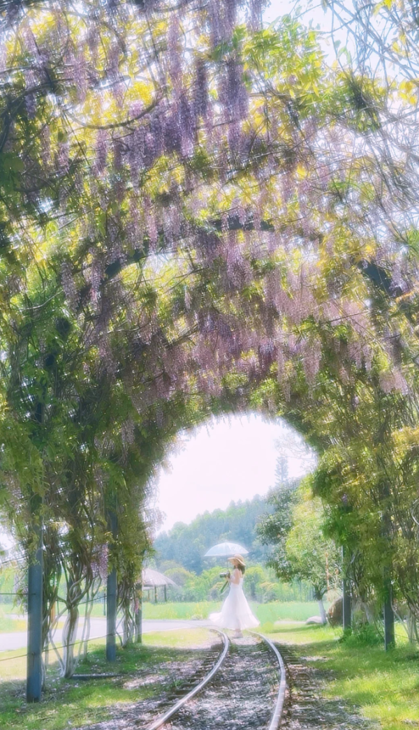 照片來源:小紅書@emma_fancy 照片來源:小紅書@emma_fancy