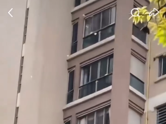 汕頭天降百萬港幣惹瘋搶！大媽狂掟金牛落街 警方急籲歸還揭悲痛內情 