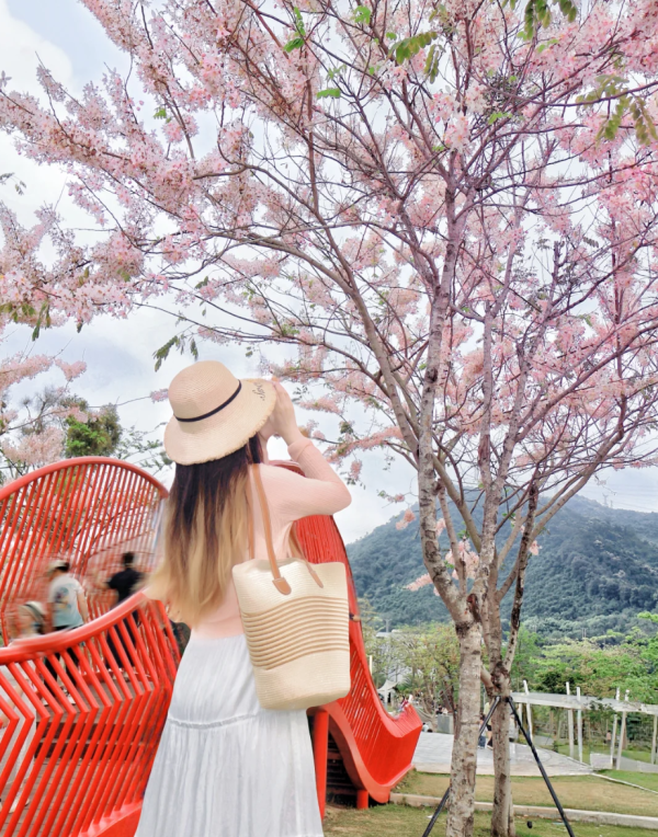 照片來源：小紅書@森森