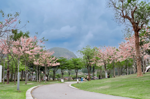 照片來源：小紅書@W绒绒