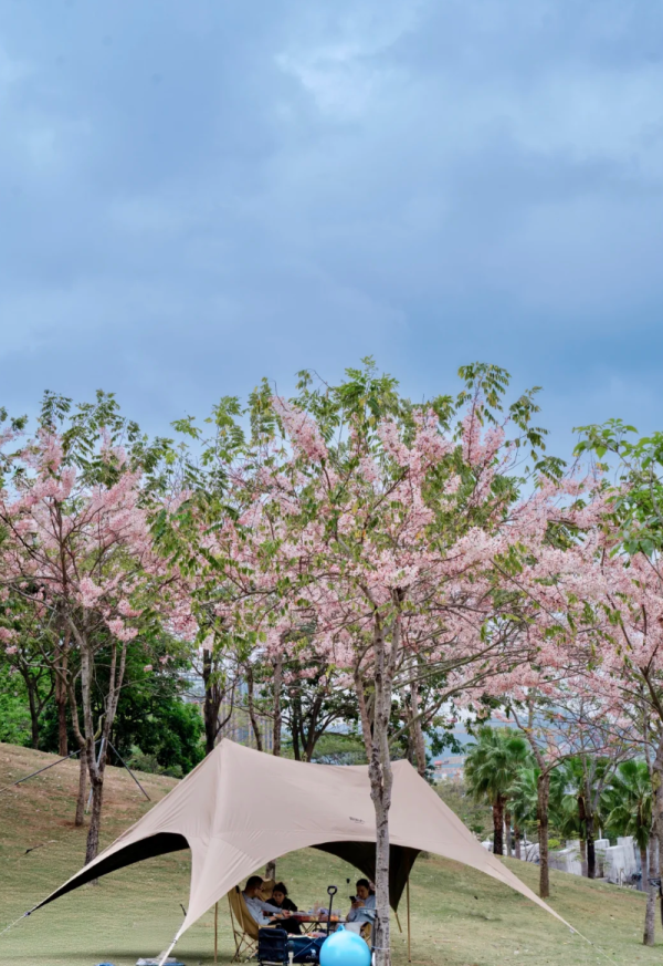 照片來源：小紅書@W绒绒