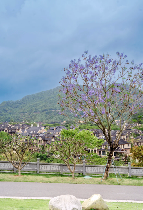 照片來源：小紅書@W绒绒