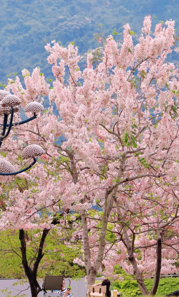 照片來源：小紅書@kk的旅游日记