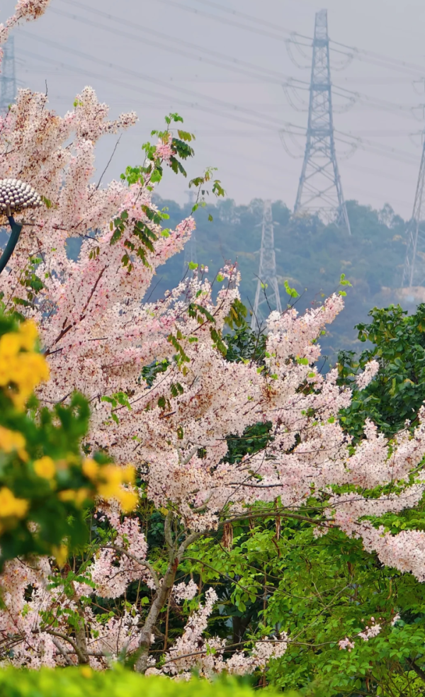 照片來源：小紅書@kk的旅游日记