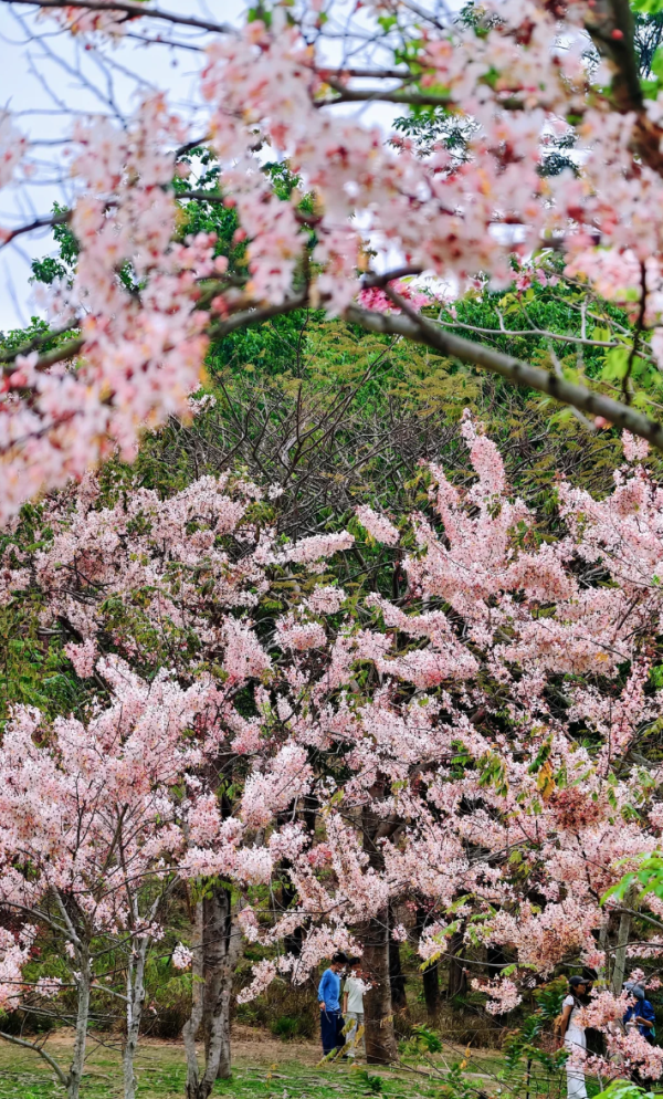 照片來源：小紅書@kk的旅游日记