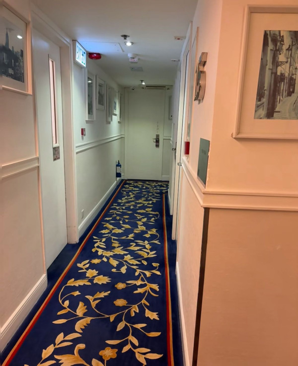 銅鑼灣高質酒店僅$100一晚？雙人房每人$50平過青旅 網民揭平價真相