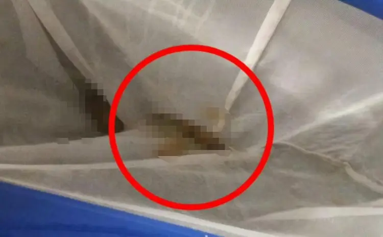 成都溫泉全裸池驚現糞便！客控職員僅用網撈未換水 店方拒退款兼反告客惡意抹黑 