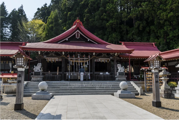 日本紫藤花2026｜紫藤花賞花地點8大推介！附必到打卡位 置身初夏最美紫色瀑布！ 