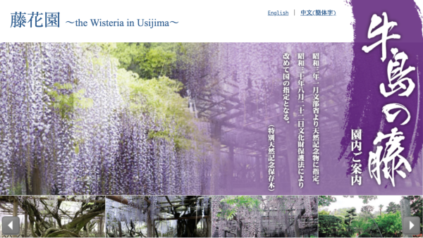 日本紫藤花2026｜紫藤花賞花地點8大推介！附必到打卡位 置身初夏最美紫色瀑布！ 