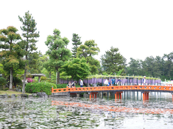 日本紫藤花2026｜紫藤花賞花地點8大推介！附必到打卡位 置身初夏最美紫色瀑布！ 