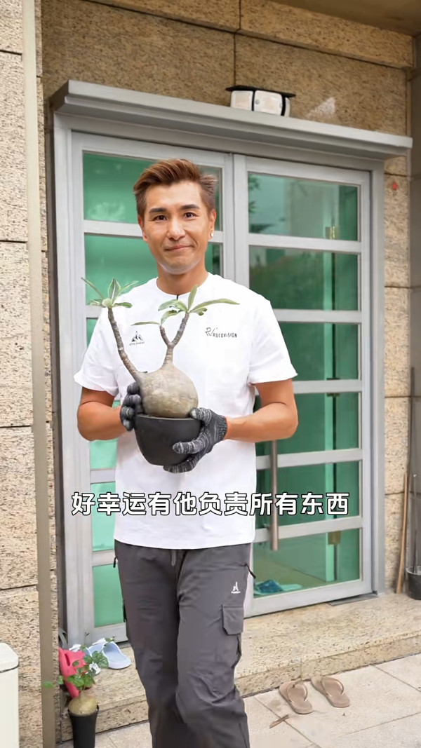 陳展鵬單文柔豪華分層獨立屋全曝光！新居樓底極高花園擁巨型植物園