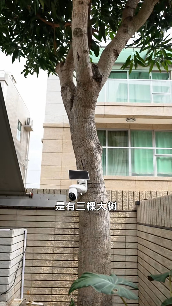 陳展鵬單文柔豪華分層獨立屋全曝光！新居樓底極高花園擁巨型植物園