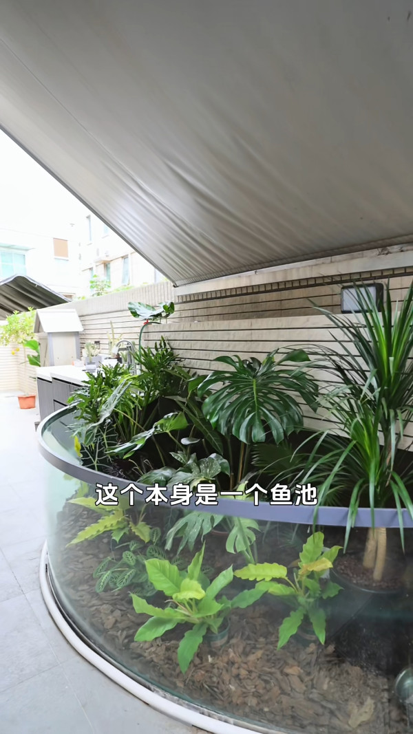陳展鵬單文柔豪華分層獨立屋全曝光！新居樓底極高花園擁巨型植物園
