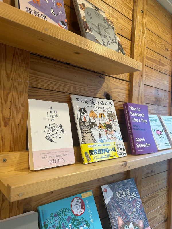 壓力大想避世？解鎖香港4大隱藏「慢活秘境」 鬧市驚現免費禪修/治癒書室