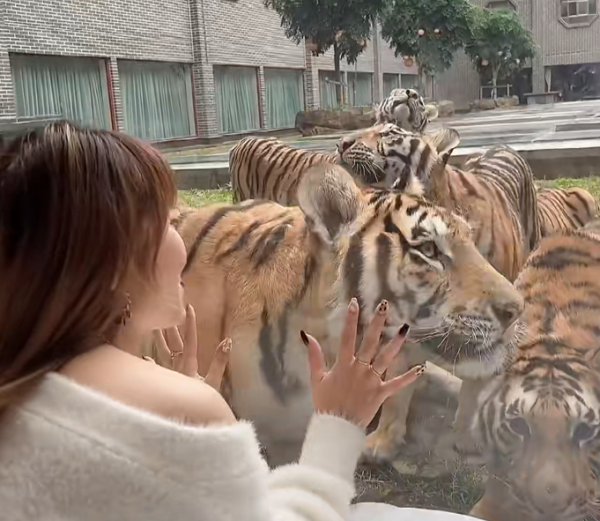 圖片來源：小紅書