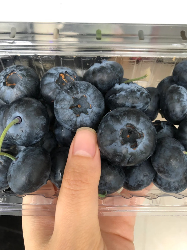 照片來源：小紅書@Jian廷斯