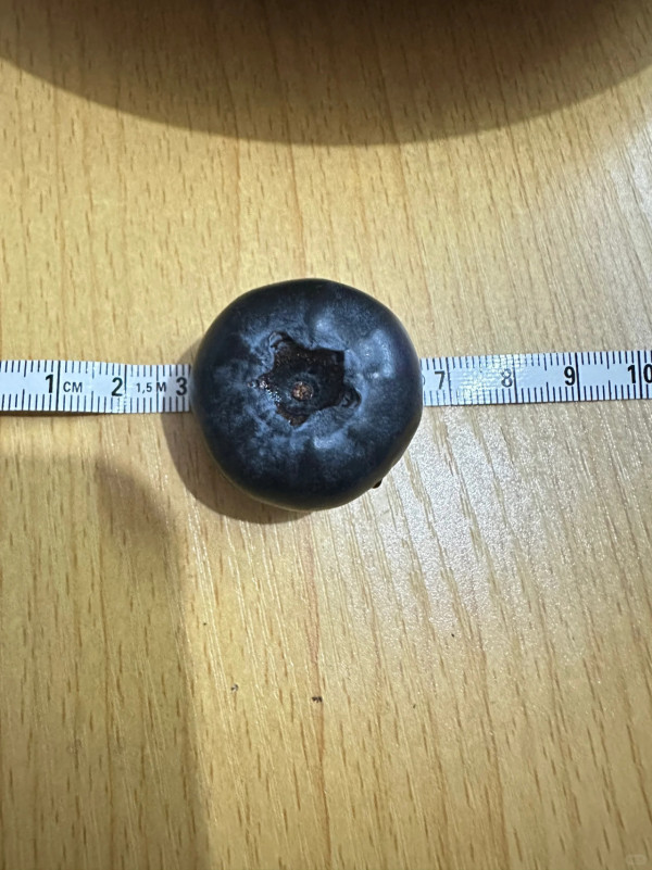 照片來源：小紅書@小麦粒籽