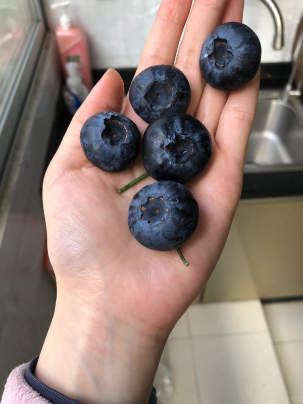 照片來源：小紅書@Jian廷斯