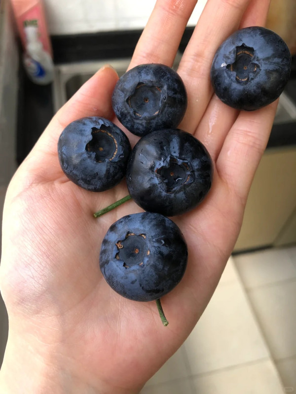 照片來源：小紅書@Jian廷斯