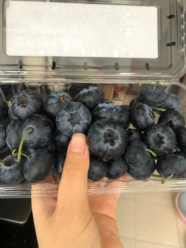 照片來源：小紅書@Jian廷斯