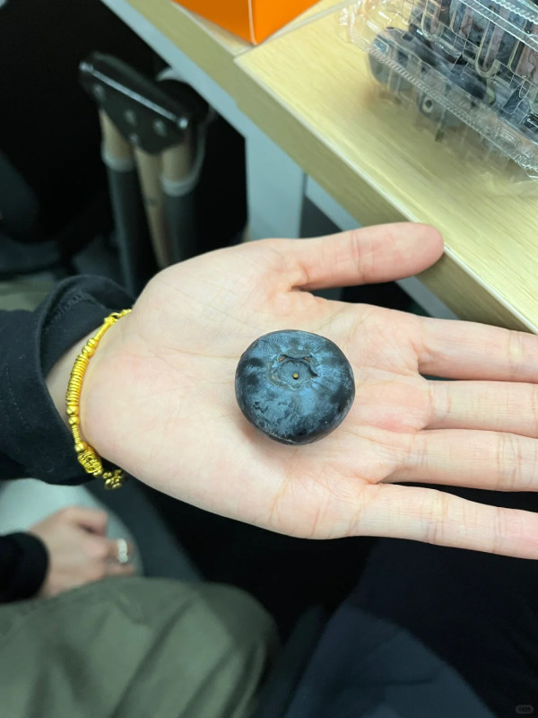 照片來源：小紅書@天才小饼干