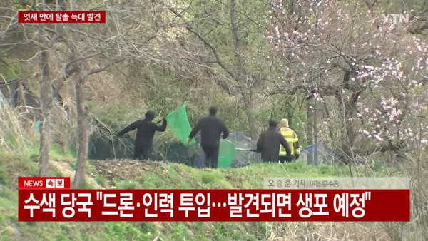 遊韓注意｜大田主題樂園公狼越獄逾周仍未落網！軍方出動無人機圍捕上演「人狼大戰」 